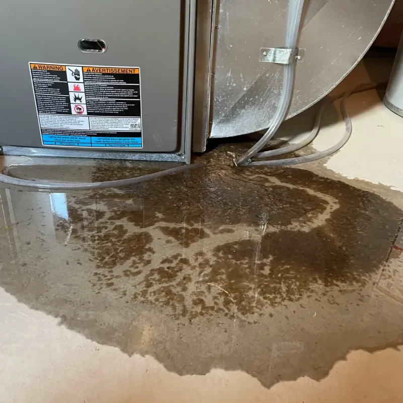 Appliance Leak Cleanup in Sugar Land, TX